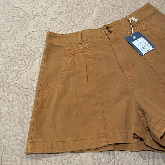 Cute Shorts - Picture 3 of 10